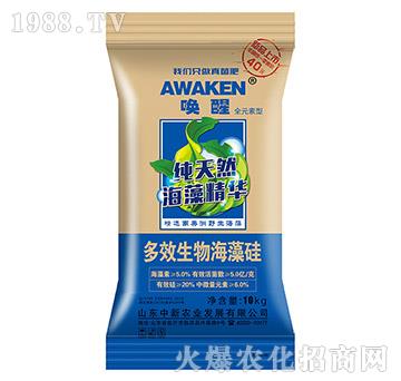 ��Ч���ﺣ���-����-�����r(n��ng)�I(y��)