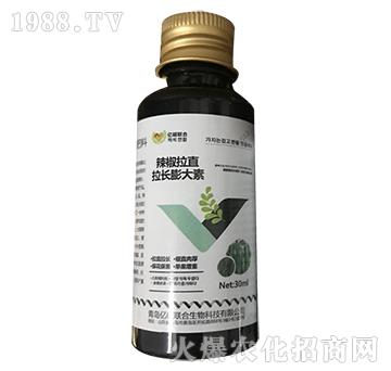 ������ֱ���L�����-�R�Sֲ��