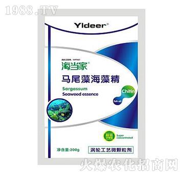 �Rβ�庣�徫-����(d��ng)��-� �����