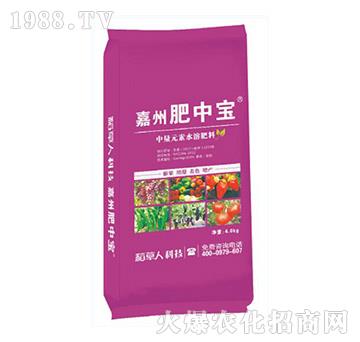 ���ݷ��Ќ�-������