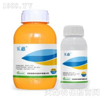 42%�����ݡ�ݬ-���-�˹����