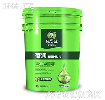 �������~��΢�������-�흙-�����