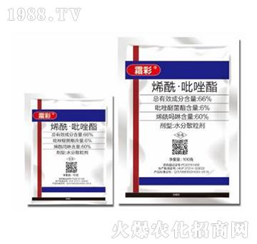 66%ϩ����������-˪��-�|������