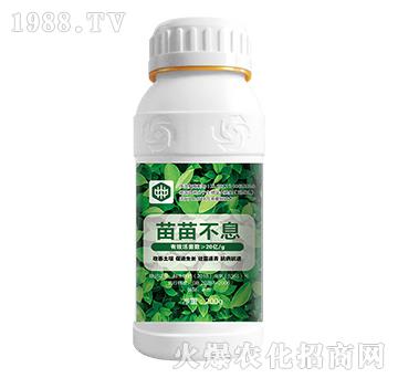 ���粻Ϣ-��ֲ(li��n)��