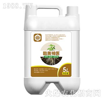 ���S���t(y��)�������������ã�-��ֲ(li��n)��