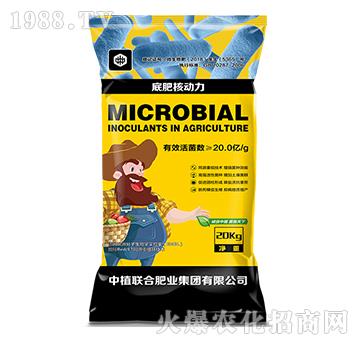 ���ʡ��˄���-��ֲ(li��n)��