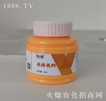 �LƤ�L��-���˳�