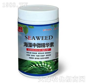 ������΢���A��-��������