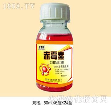 ��ù��-��ʿ��