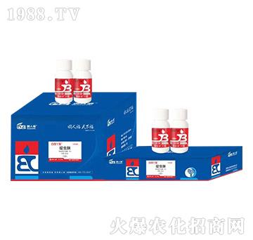 �׷�ʭ����ˎ-���gѾ��-���˸�