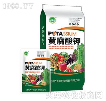 �S�����-��@���S-���S�ʘI(y��)