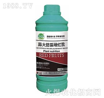 ���������t�-��@���S-���S�ʘI(y��)