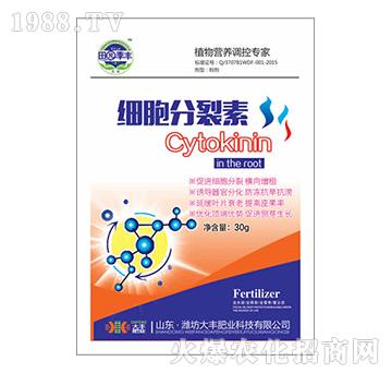 ����������-��@���S-���S�ʘI(y��)