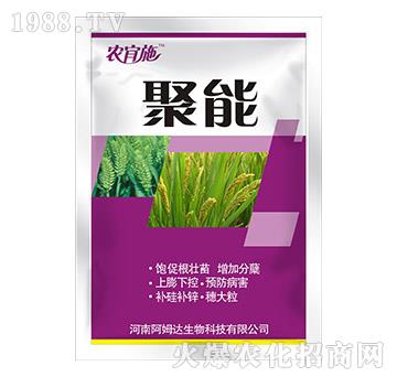 ����-�r(n��ng)��ʩ-��ķ�_