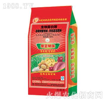 ���ﵰ��ø-������͏�(f��)�����-�������