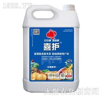 ϲ�o(h��)-������