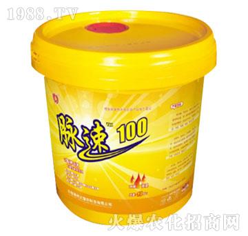 �}��100-����Ƽ�