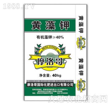 �S���-Ħ���-���R