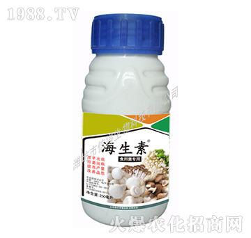 ʳ�þ�����-������-�ŵ�