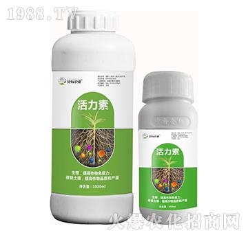 ������-���(bi��o)