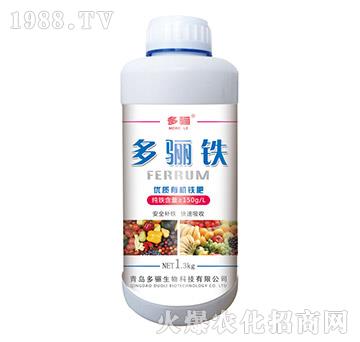 ���P�F��ƿ��-���P����