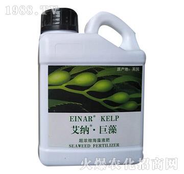 ����s����Һ��-���{������-���㺣