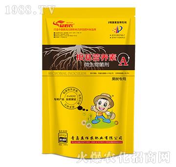 ���䌣��΢�������-�����I�B(y��ng)��A-����r(n��ng)