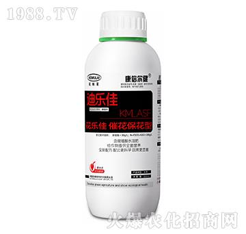 �߻�������-������-��������-��ķ�R