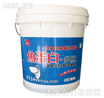 �~(y��)���ס�����-��������