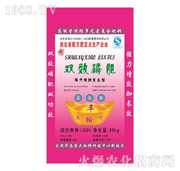 �pЧ�׷�-����