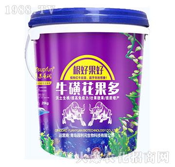 ���ǻ�����-�@��Ԫ