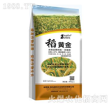 ���S��-�@��Ԫ