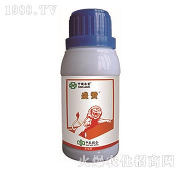 30%������-ʢٝ-���r(n��ng)(li��n)��