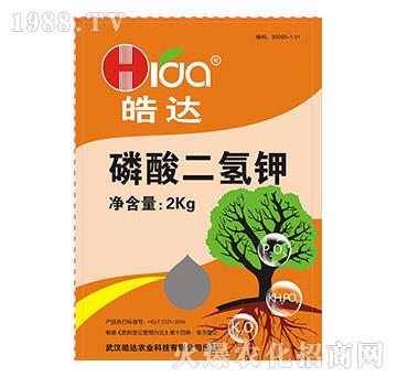 ��������-��_(d��)�r(n��ng)�I(y��)