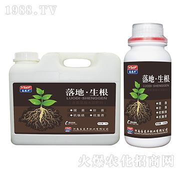 含氨基酸水溶肥料-落地生根-易萊豐