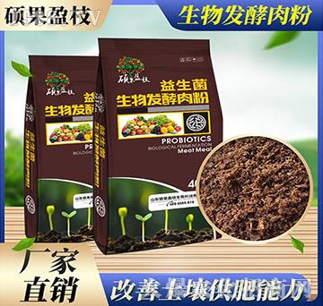 ����l(f��)�����-������-�T��ӯ֦