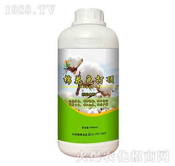 �޻�����-Ԫ��ֲ��