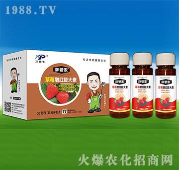 ��ݮ���t�����-�ֹܼ�-������