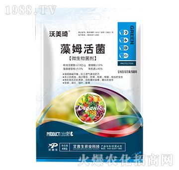 ��ķ���-������-������