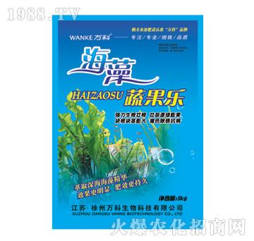 �����߹���(l��)-�f(w��n)��