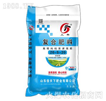 �����������ȏͺϷ���20-5-20���S-������