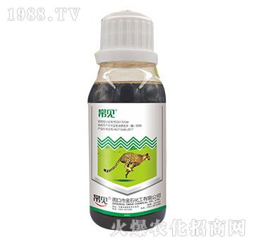 20%���ݿ�-��Ҋ(ji��n)-��ʯ����