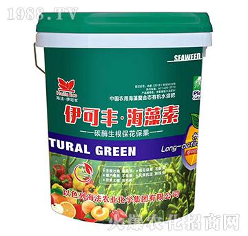 ̼ø������������-�����S��������-����