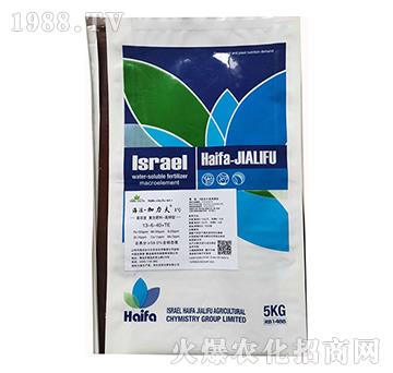 ����͏�(f��)�Ϸ���13-6-40+TE-����������1̖(h��o)-����������