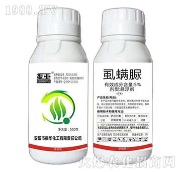 5%ʭ����-���A����