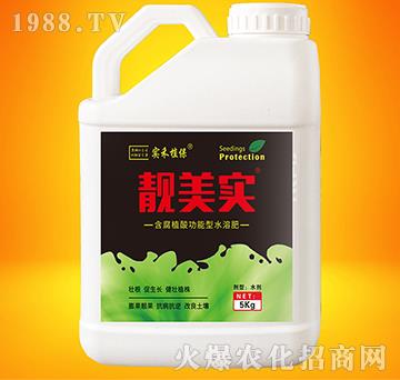 含腐植酸功能型水溶肥-靚美實-實禾