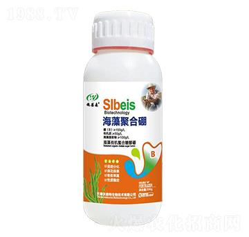 海藻聚合硼-施蓓森-沃森特