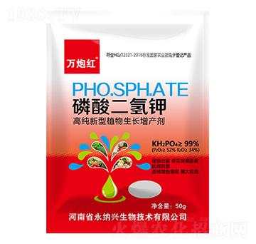 ��������-�f�ڼt-���{�d