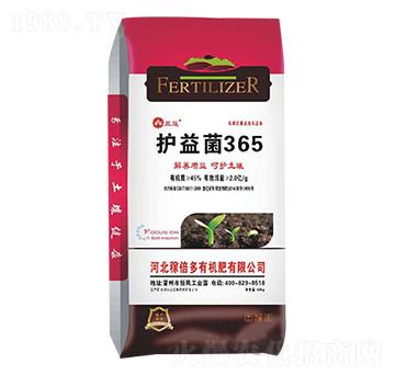 �o���365-��ɏ-�ڱ���