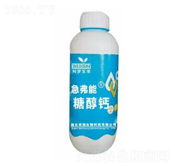 �Ǵ��}-������-����(chu��ng)����